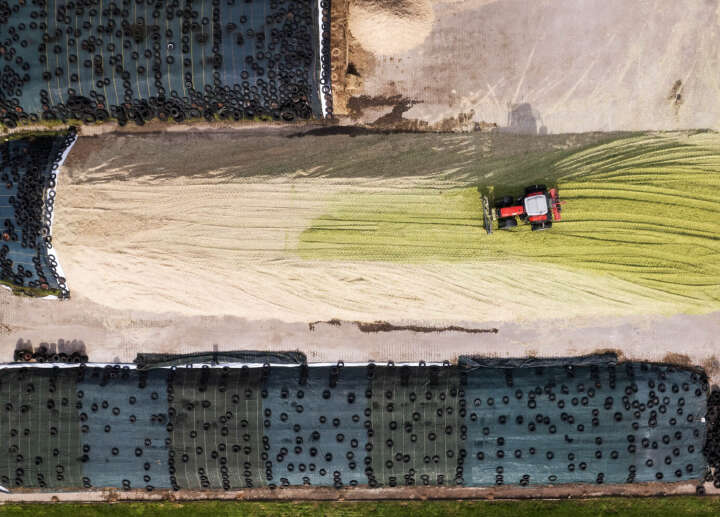 nacherwarmung in der silage banner Artikel silage nacherwarmung in der silage banner Artikel silage